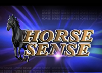 Horse Sense